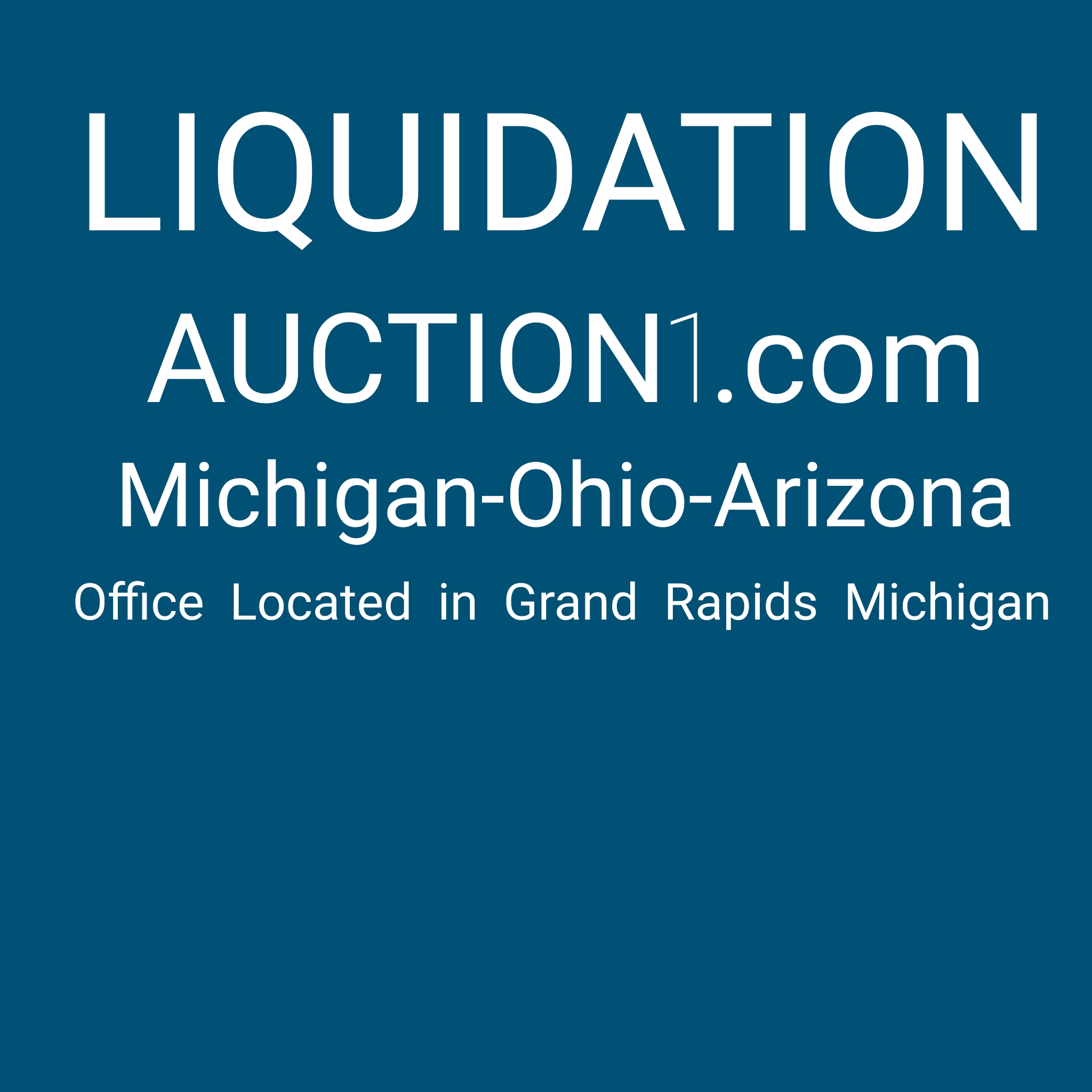 Liquidationauction1
